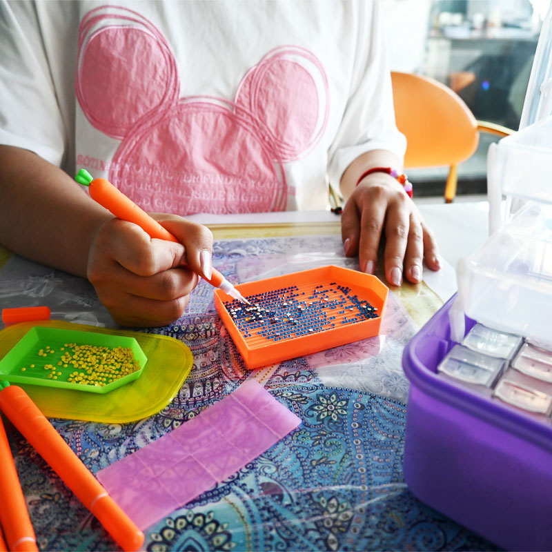 Diamond Embroidery Tools Carro - đánh giá và giá Workshop Tools Diy